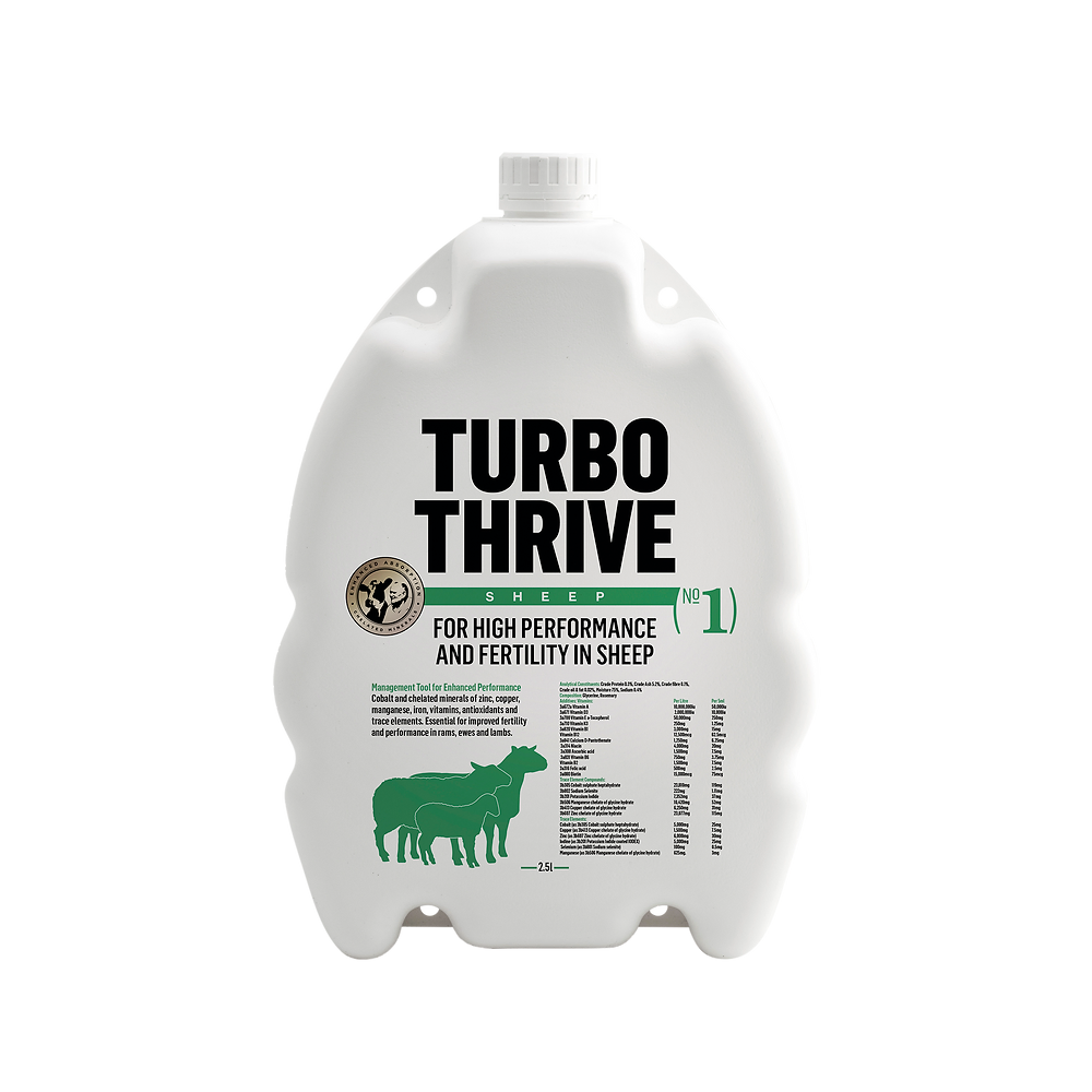 Turbo Thrive Sheep Drench