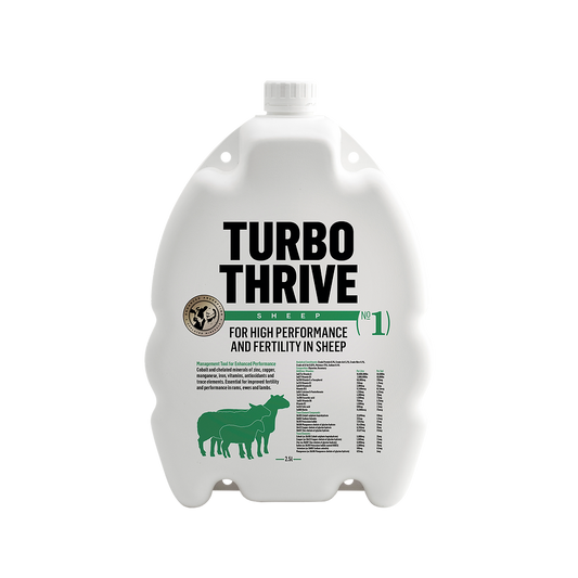 Turbo Thrive Sheep Drench