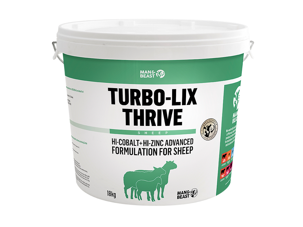 Turbo-Lix Thrive Sheep