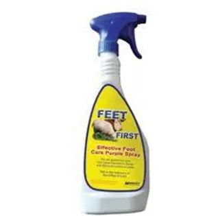 Feet First Spray 500ml