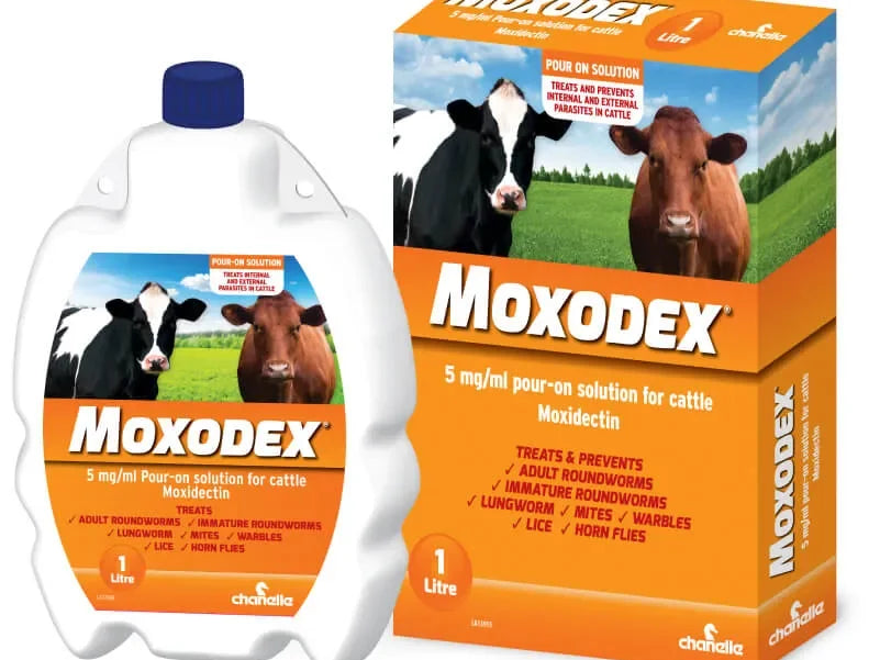 Moxodex Pour on for Cattle