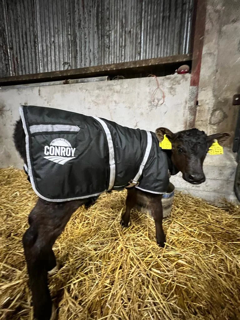 Conroy Calf Jacket