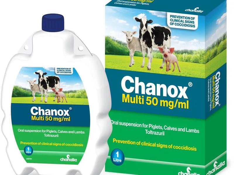 Chanox Multi 1Ltr