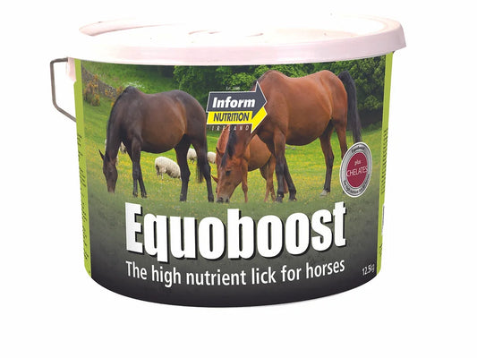 Equoboost horse block