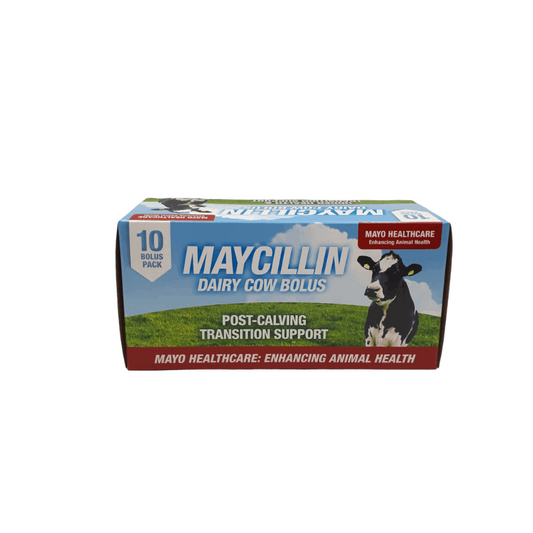 Maycillin Bolus (10 Pack)