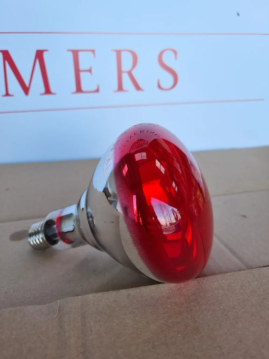 Infrared Bulb 250w