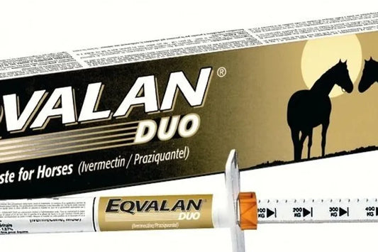 Eqvalan Duo